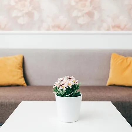 Dd Mall Ii Apartman Kolozsvár